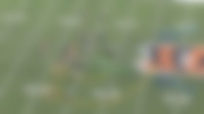 bengals5