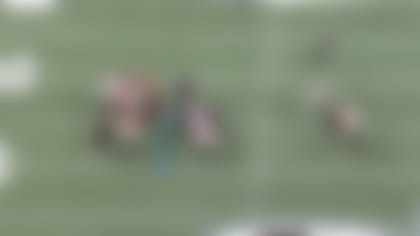 Falcons3