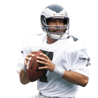 Ron Jaworski Stats Summary | NFL.com