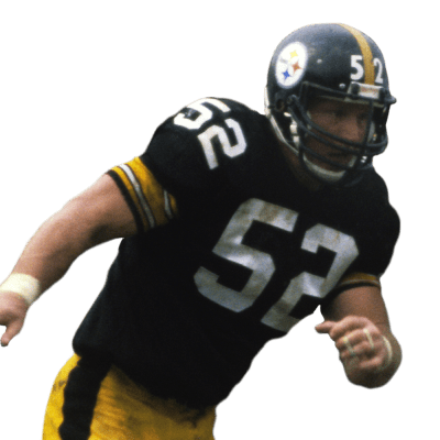 mike webster arms