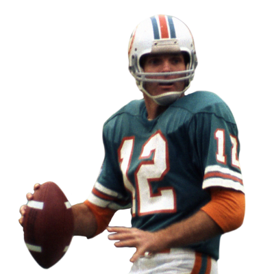 Bob Griese Career Stats