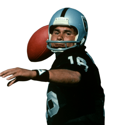 Jim Plunkett Career Stats