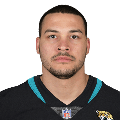 Aaron Lynch Stats Summary NFL
