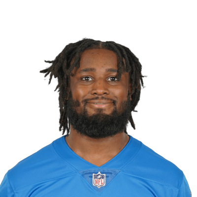 Mohamed Ibrahim Stats Summary | NFL.com