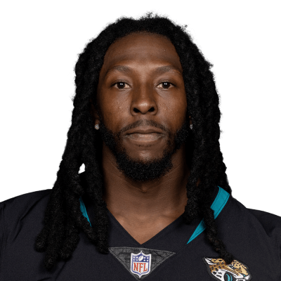 Willie Johnson Stats, News and Video - WR | NFL.com