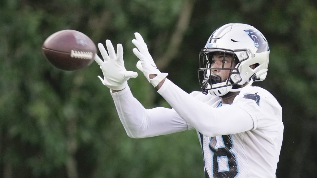 Panthers waive safety J.T. Ibe after 'unacceptable' practice hit on WR