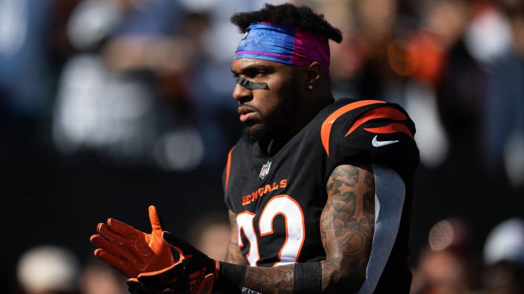 Bengals RB Trayveon Williams foresees 'bigger role' heading into 2023 season