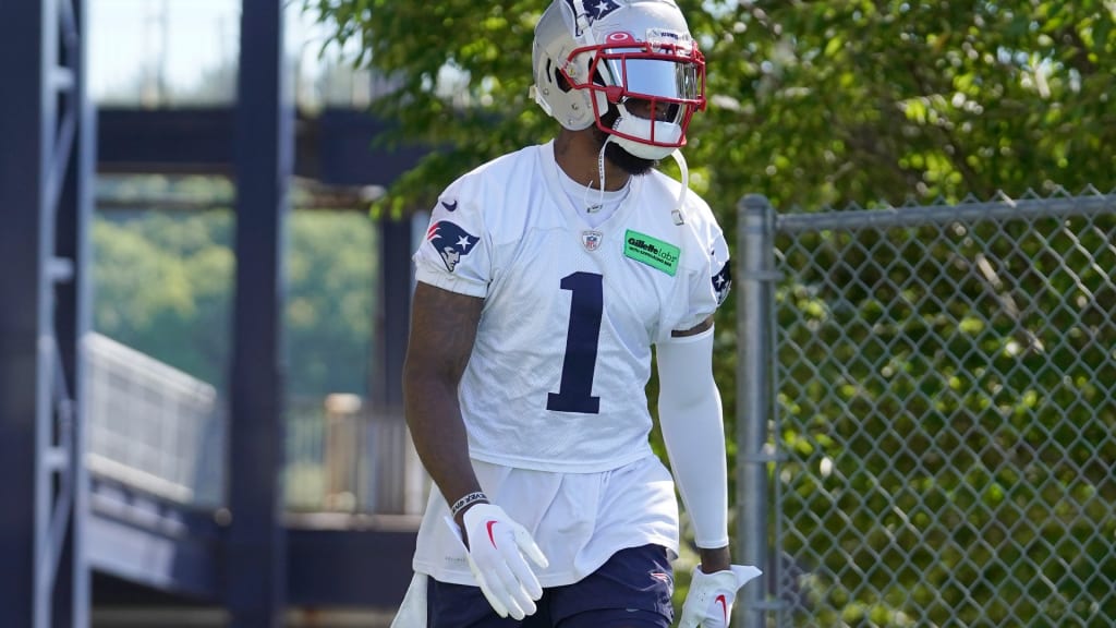 DeVante Parker cites fans, offensive system as part of Patriots appeal