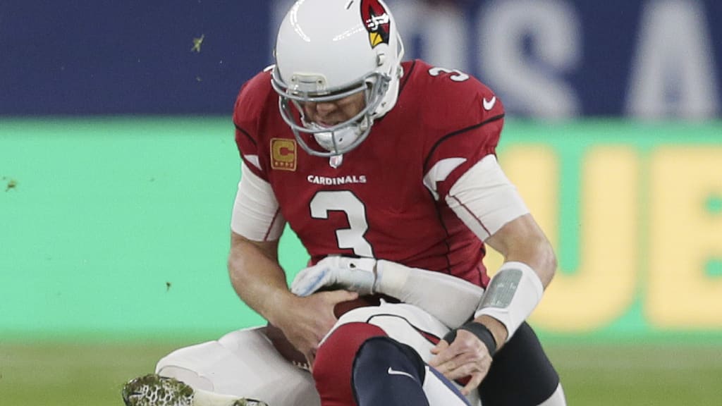 Multi-Platform Report on Carson Palmer's Re-injured Knee Highlights ESPN NFL  Week 12 Content - ESPN Press Room U.S.