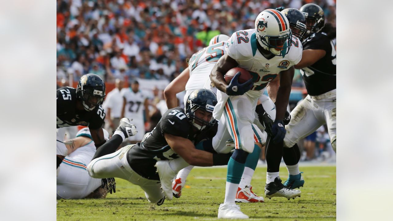 Miami Dolphins' running back Reggie Bush (22) runs with the ball