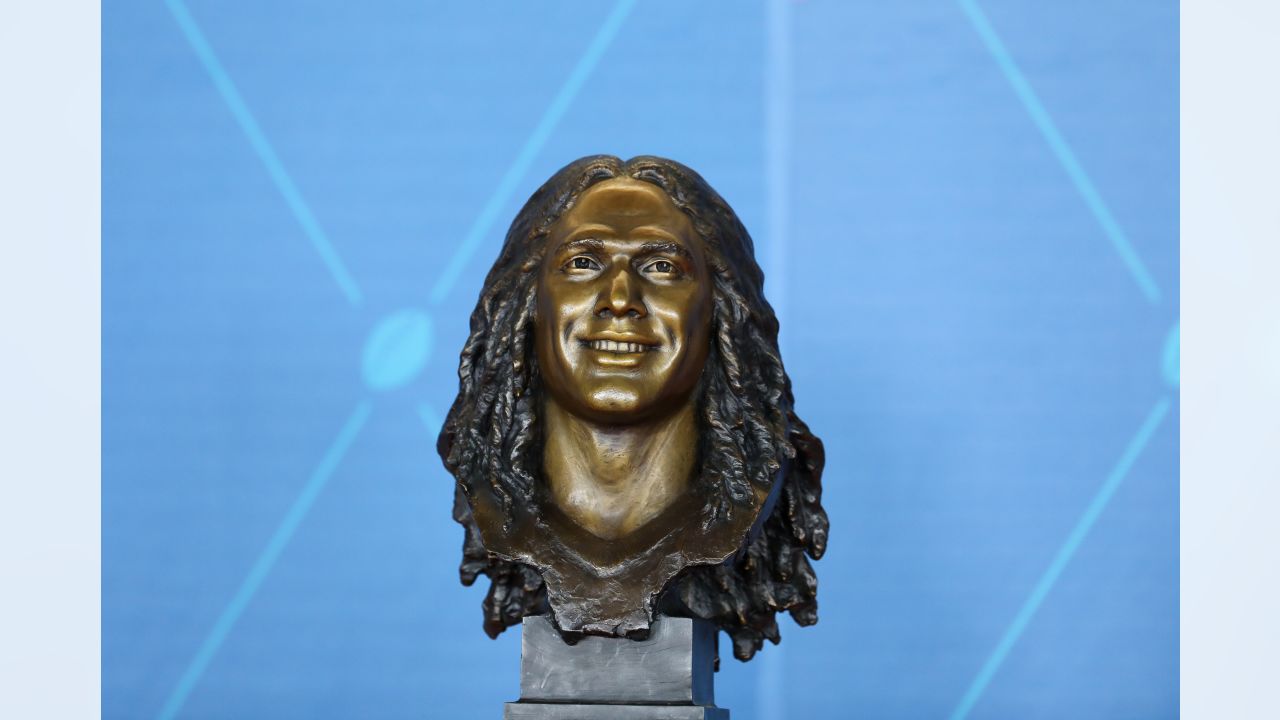 PFF on X: Troy Polamalu's Hall of Fame bust is next level