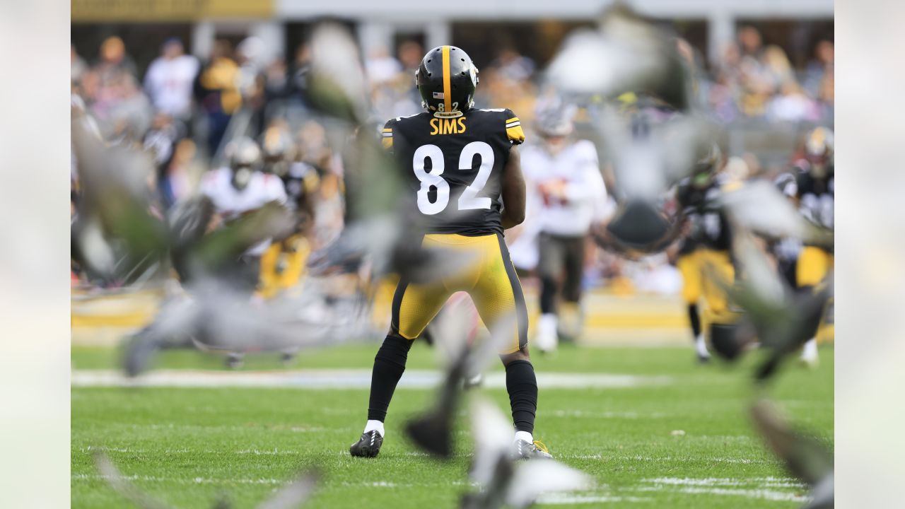 Photo: Pittsburgh Steelers Steven Sims Celbrates Touchdown