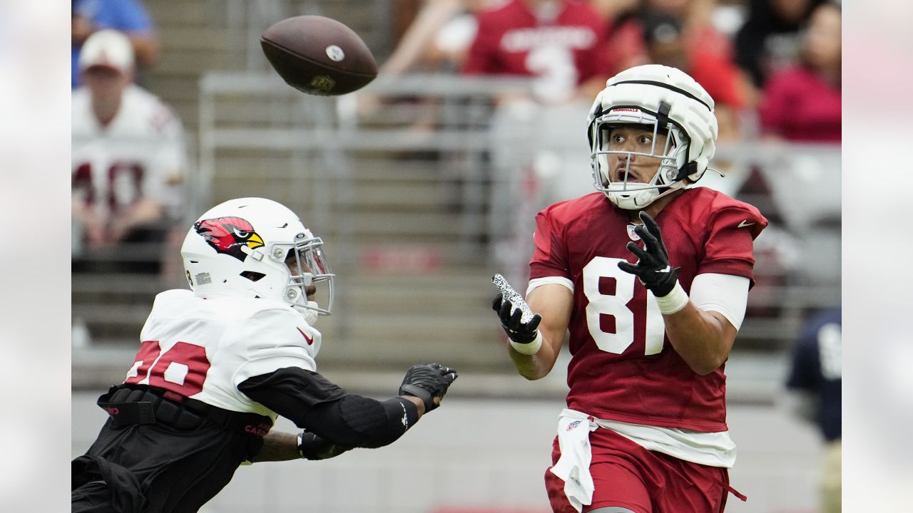 Noah Togiai, Arizona Cardinals TE, NFL and PFF stats