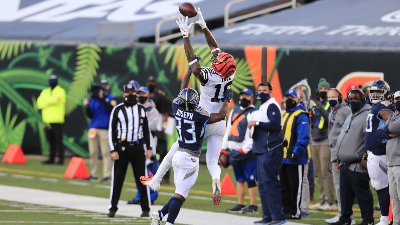 Cincinnati Bengals wide receiver Auden Tate (19) catches a