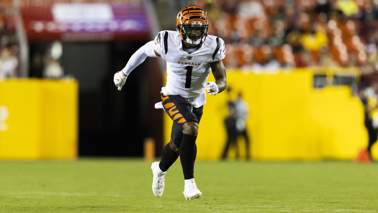 Cincinnati Bengals linebacker Clay Johnston (44) runs out during  introductions before the NFL Super Bowl 56