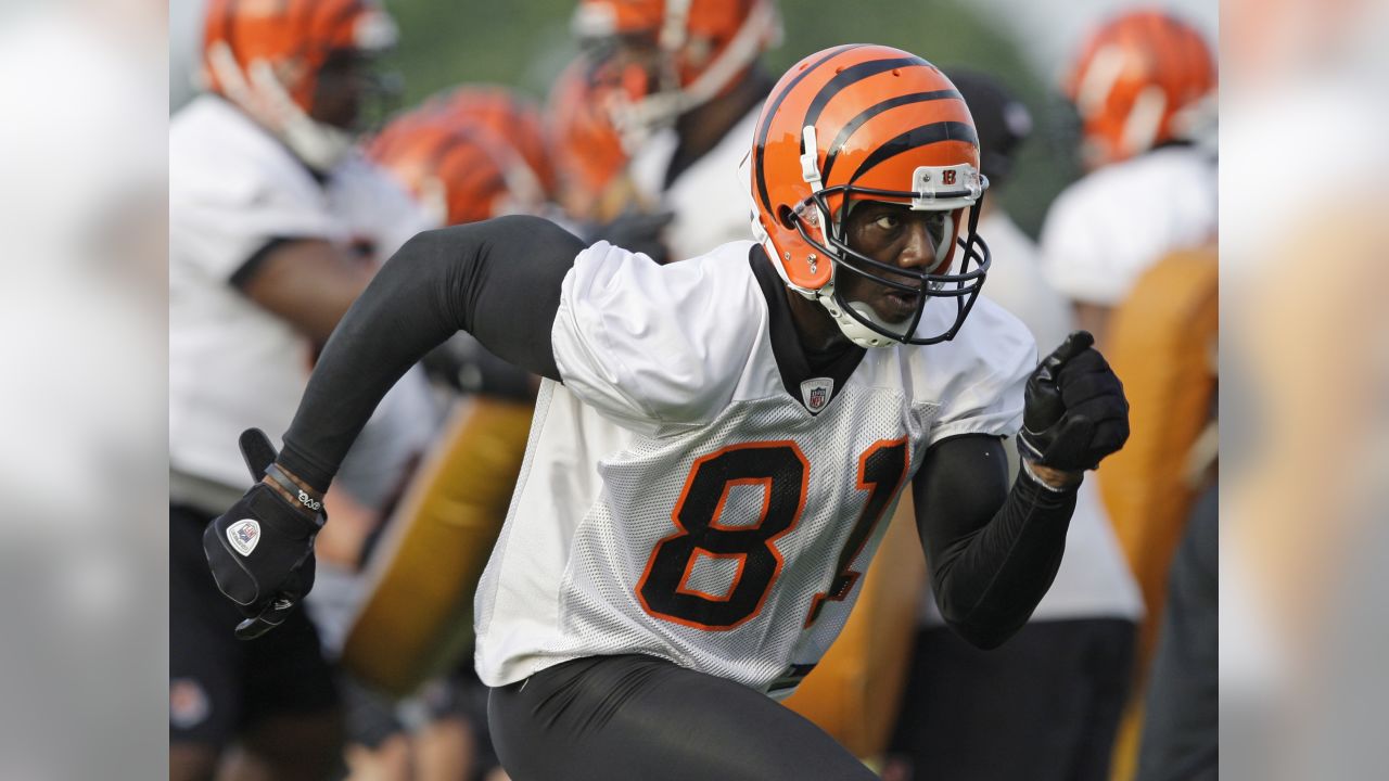 Cincinnati Bengals 2010 Training Camp: Five Topics (8/11)