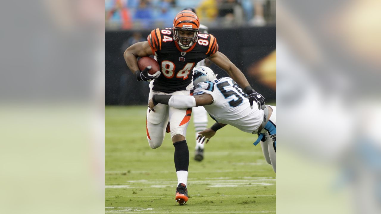 Carolina Panthers coach John Fox reacts to a call in the first half of an  NFL football game against the Cincinnati Bengals in Charlotte, N.C.,  Sunday, Sept. 26, 2010. (AP Photo/Chuck Burton