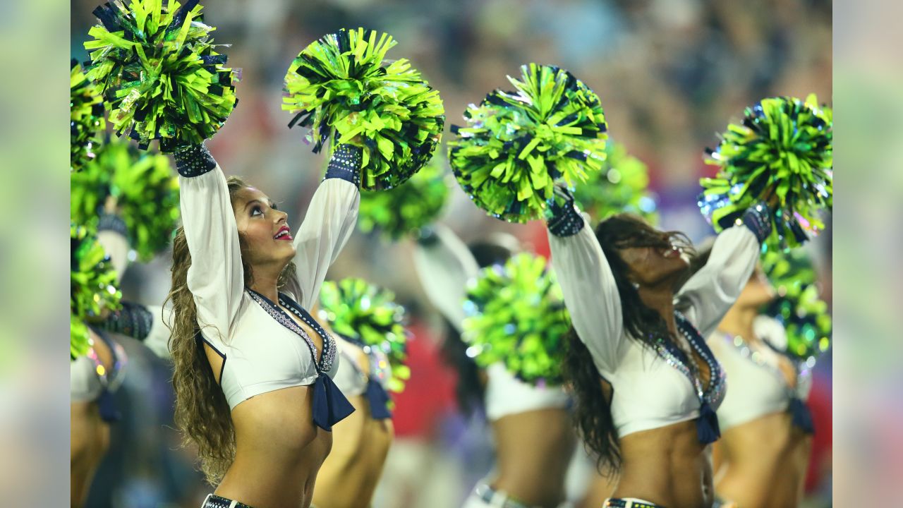 Best of Super Bowl XLIX cheerleaders