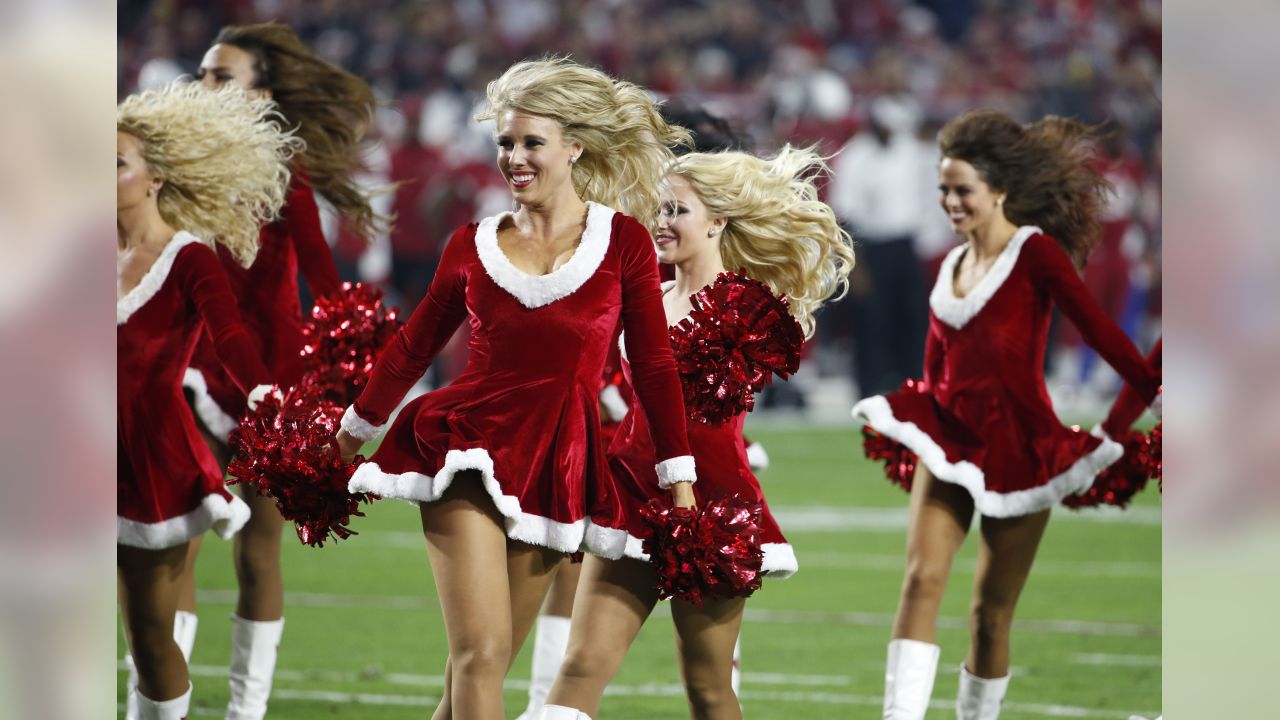 Arizona Cardinals - Meet the 2014 #AZCardinals Cheerleaders