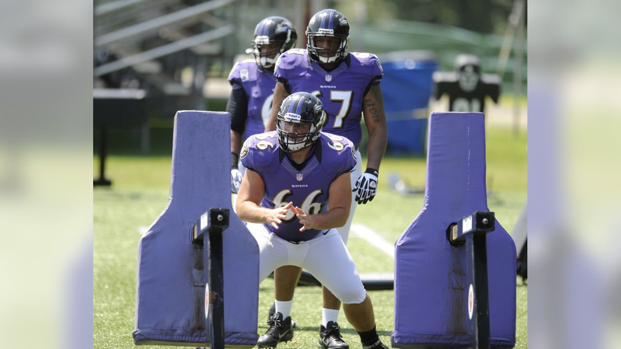 Joe Flacco, Ed Reed, Ray Rice named to NFL Network top 100 list