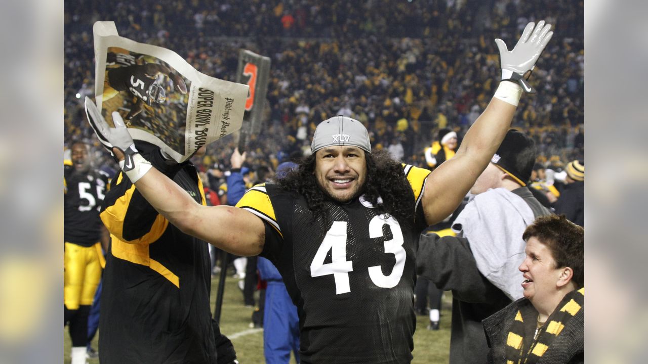 Troy Polamalu through the years