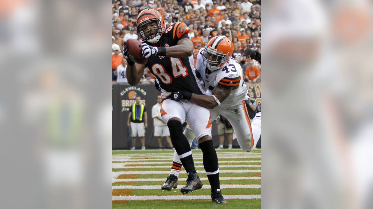 Josh Cribbs lashes out at fans on Twitter