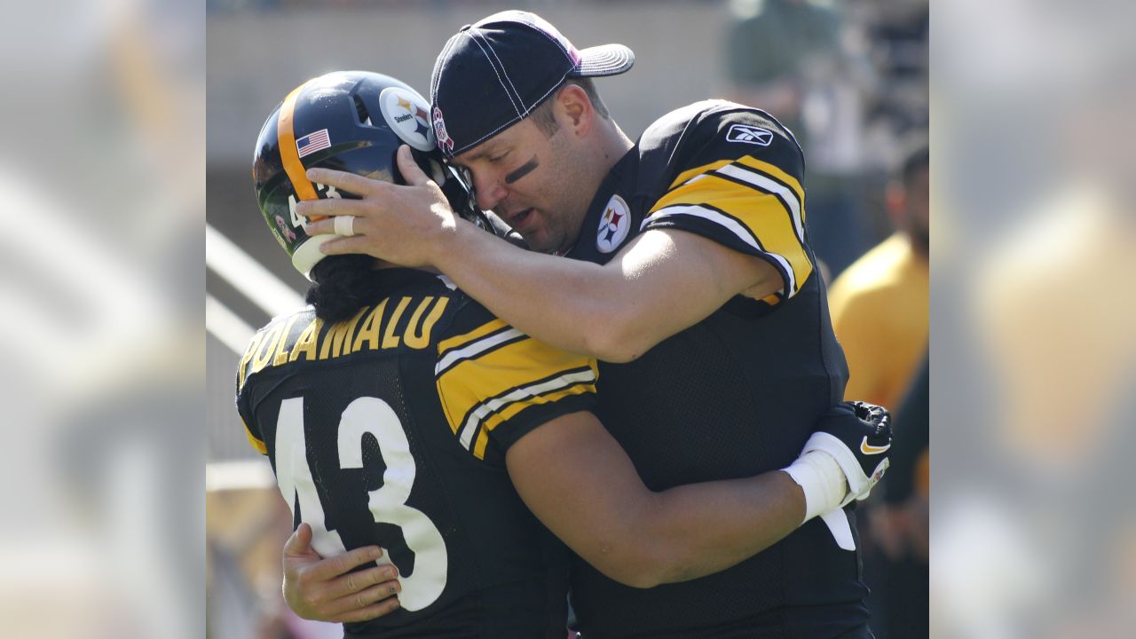 Pittsburgh Steelers safety Troy Polamalu (43) stands on the