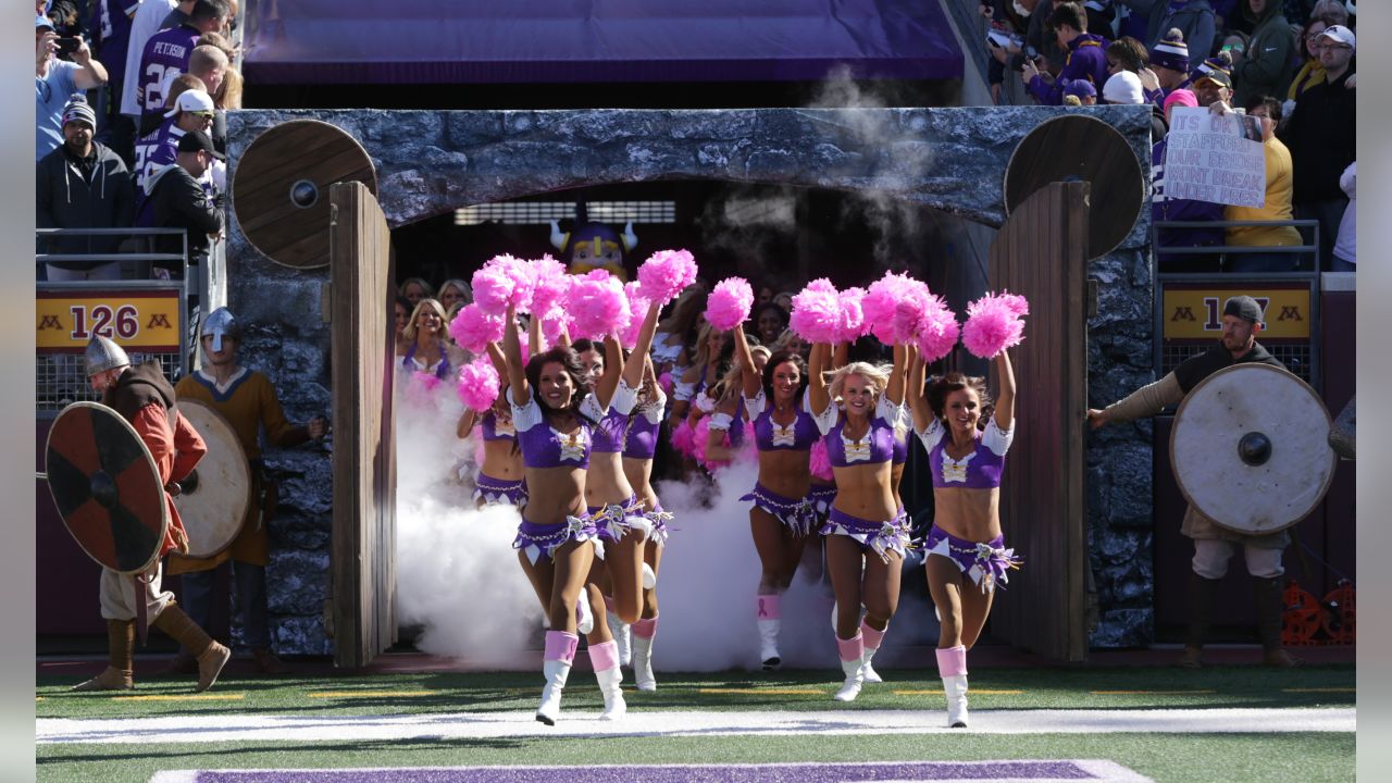 Best of Minnesota Vikings Cheerleaders 2014