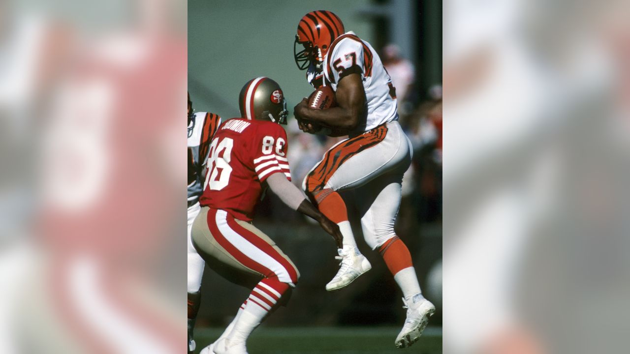 Reggie Williams  Cincinnati Bengals 