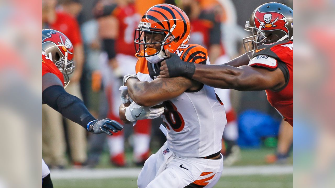 Tampa Bay Buccaneers defensive tackle Clinton McDonald celebrates