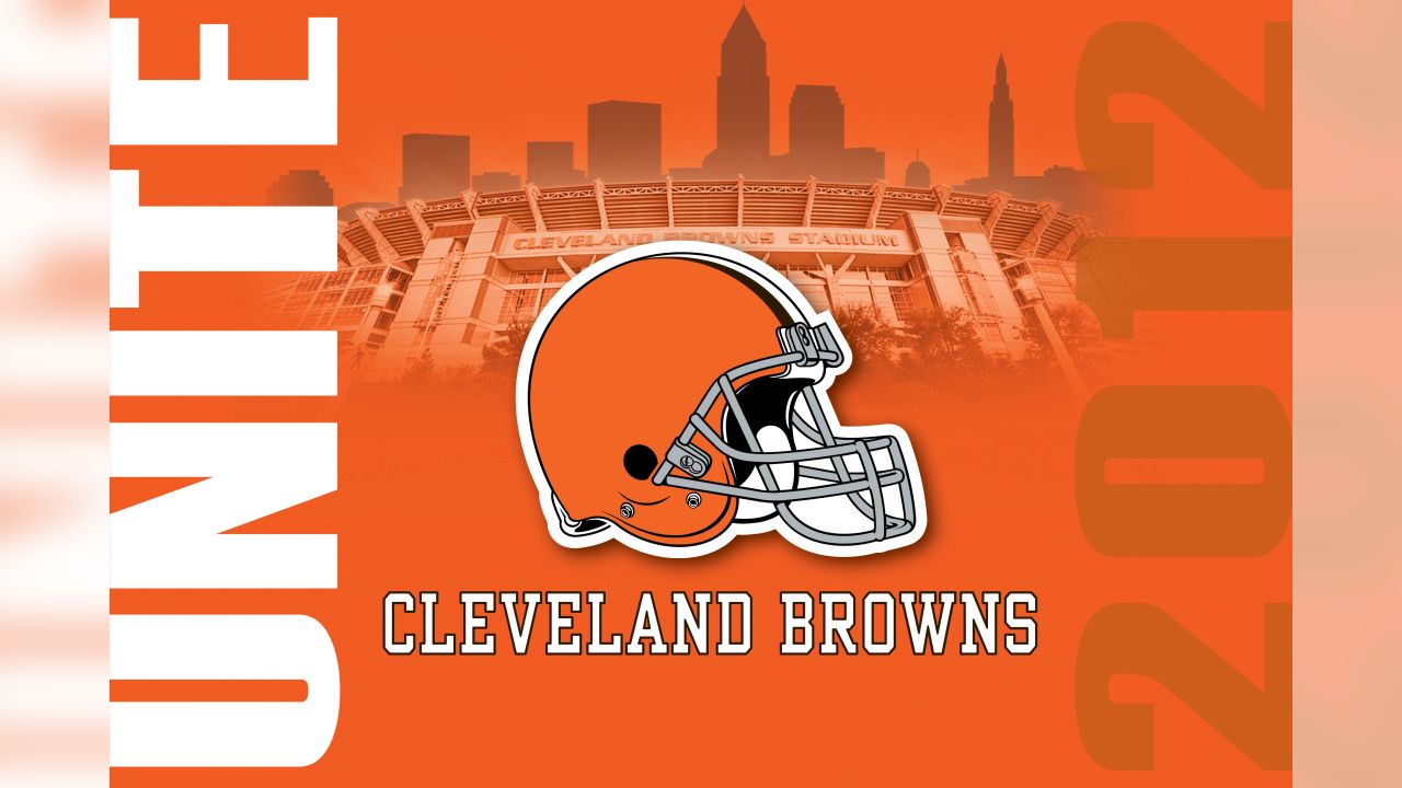 Cleveland Browns NFL Football Team Flag 3 x 5 ft