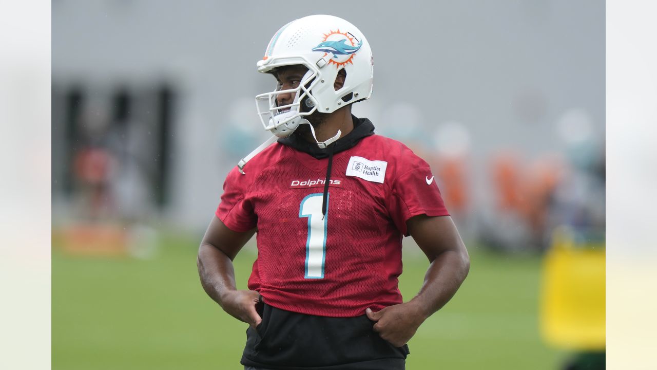 2023 Miami Dolphins Offseason Workouts