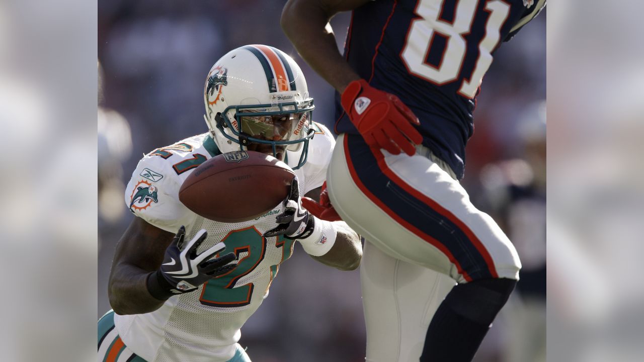 Photo: Miami Dolphins Joey Haynos and Chad Henne (7) react after