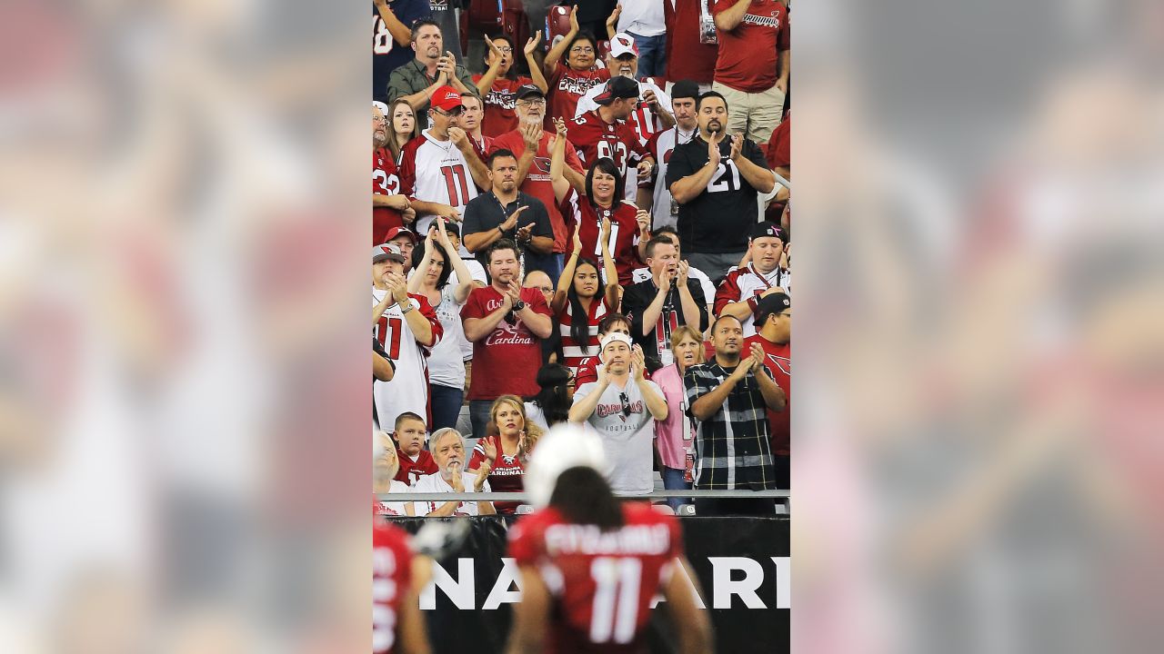 An Atlanta Falcons fans cheers in the first half of an NFL