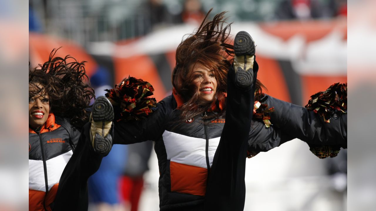 cincinnati bengals cheerleader winter｜TikTok Search