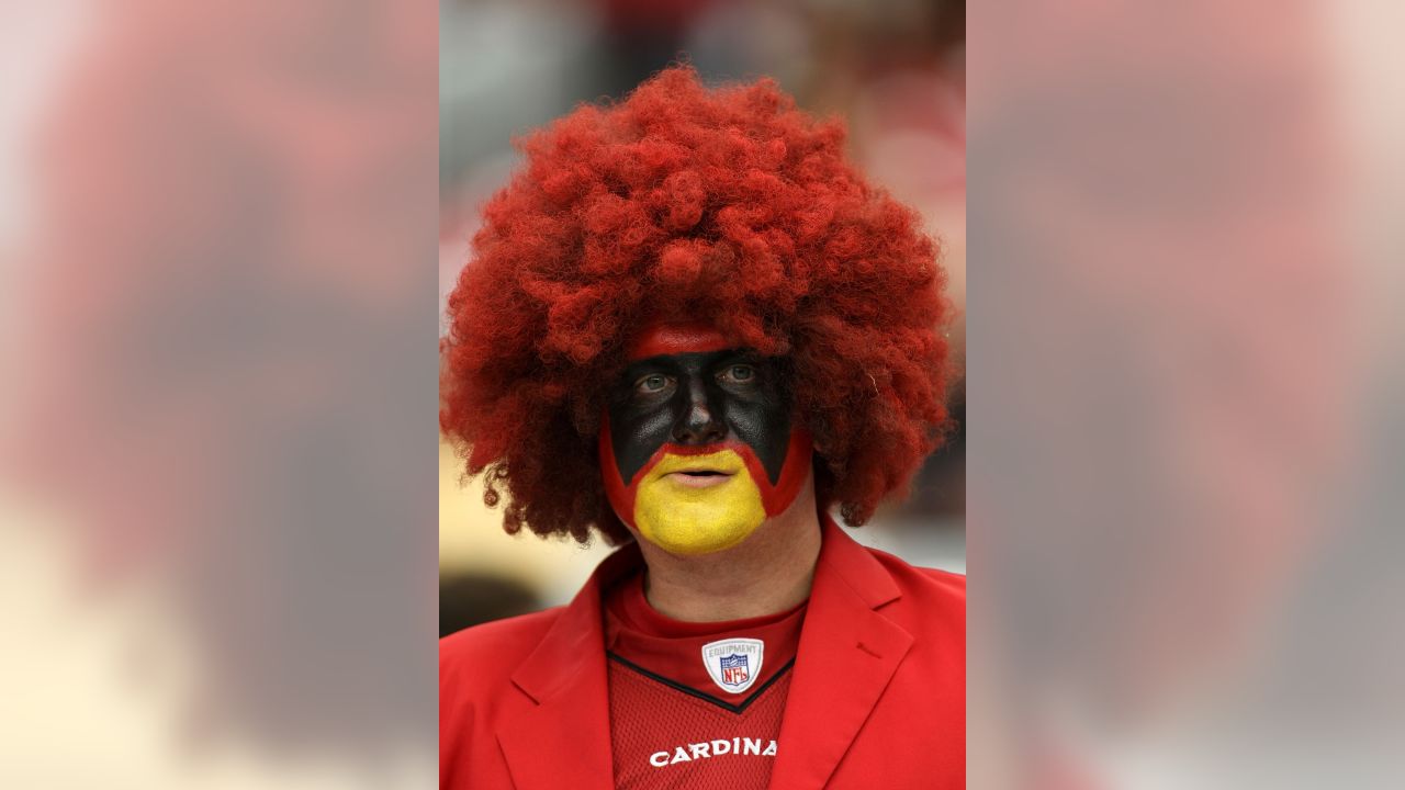 14 Redbird Mascot Stock Photos, High-Res Pictures, and Images - Getty Images