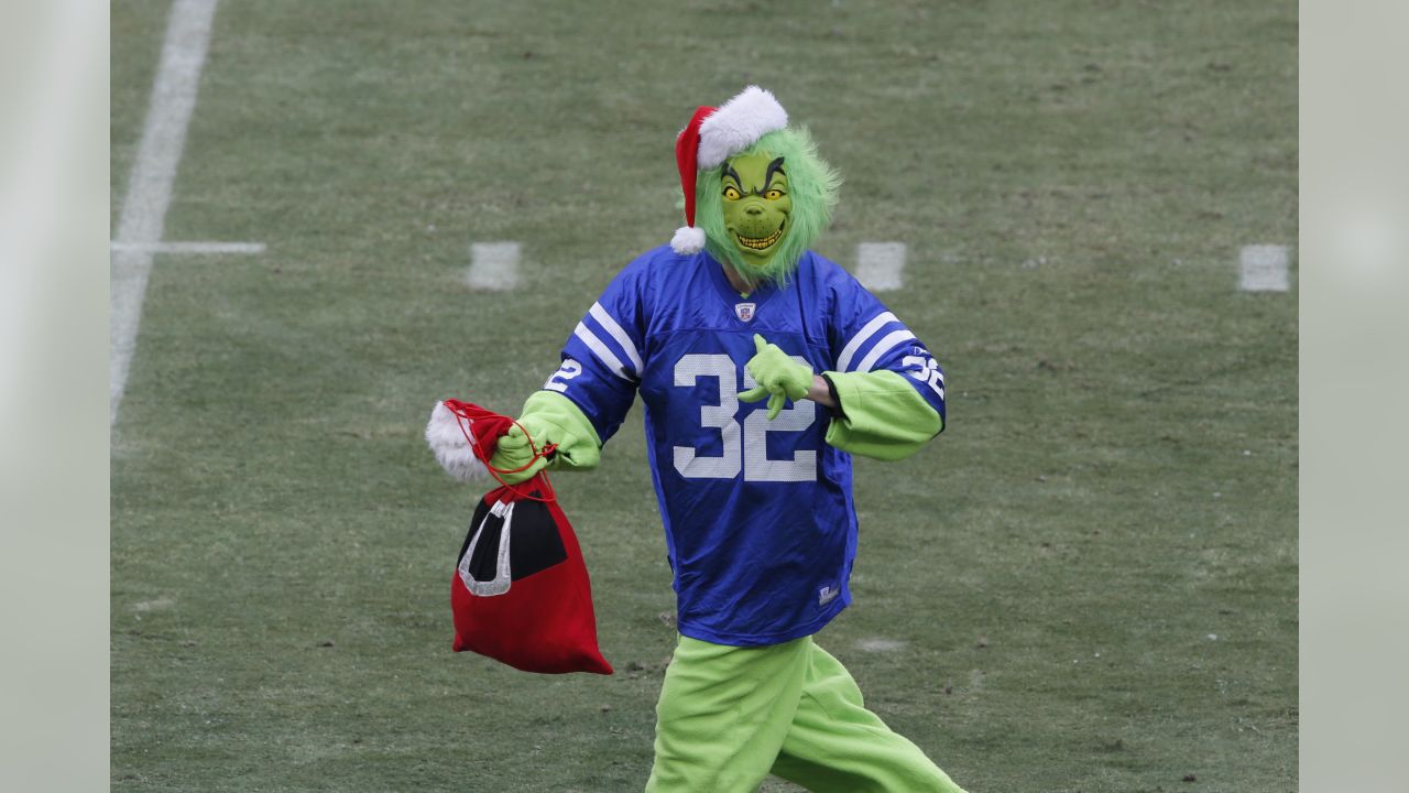 Customize NFL Seattle seahawks Garden Flag Grinch Football