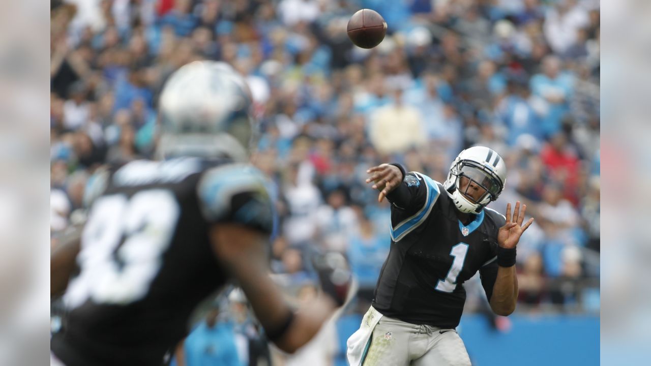 Carolina Panthers quarterback Cam Newton celebrates after a touchdown pass  in the first half against the Green Bay Packers in an NFL football game in  Charlotte, North Carolina on September 18, 2011.