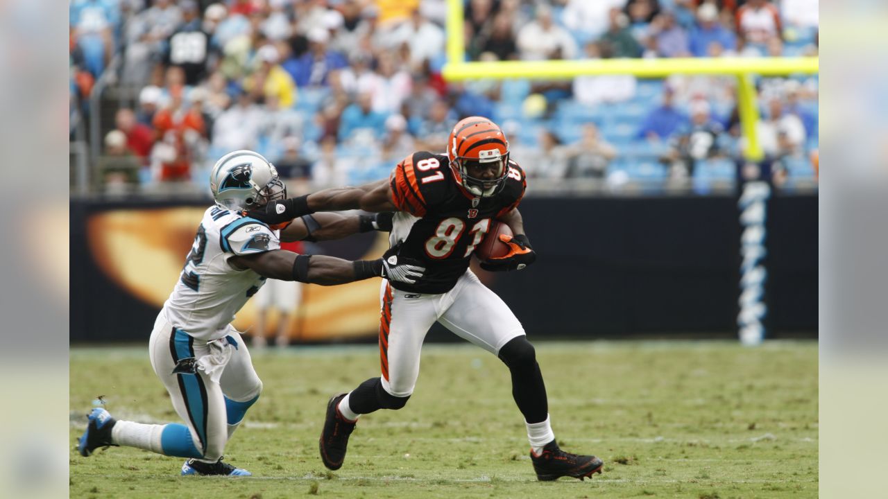 Carolina Panthers coach John Fox reacts to a call in the first half of an  NFL football game against the Cincinnati Bengals in Charlotte, N.C.,  Sunday, Sept. 26, 2010. (AP Photo/Chuck Burton