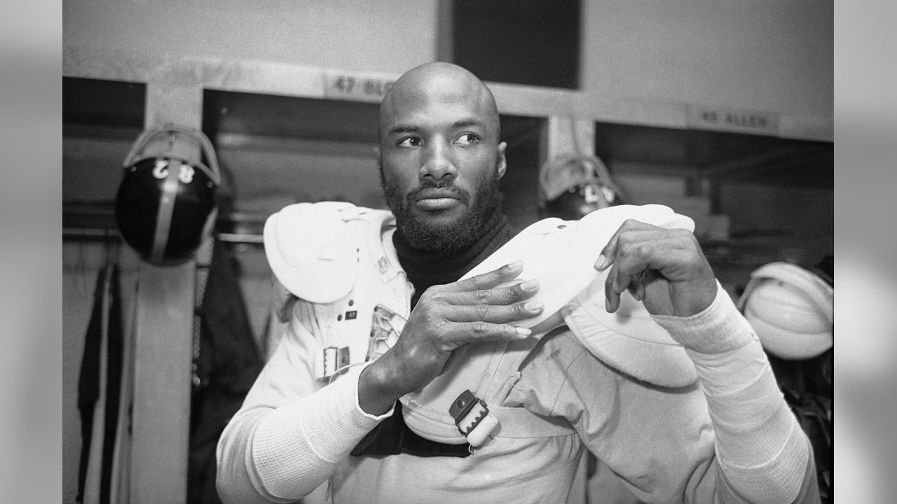 Mel Blount  SportPics Archive