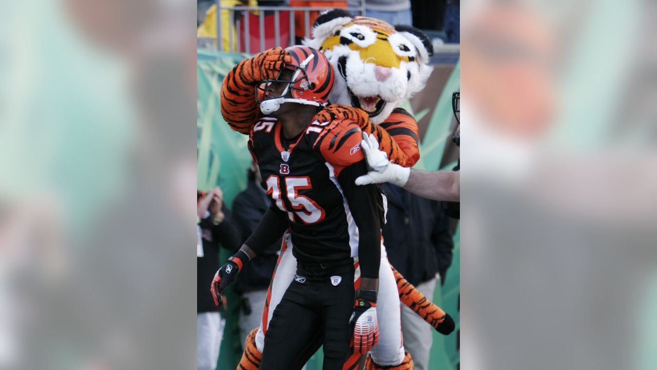 Cincinnati Bengals: Where does Who Dey land in NFL mascot rankings?