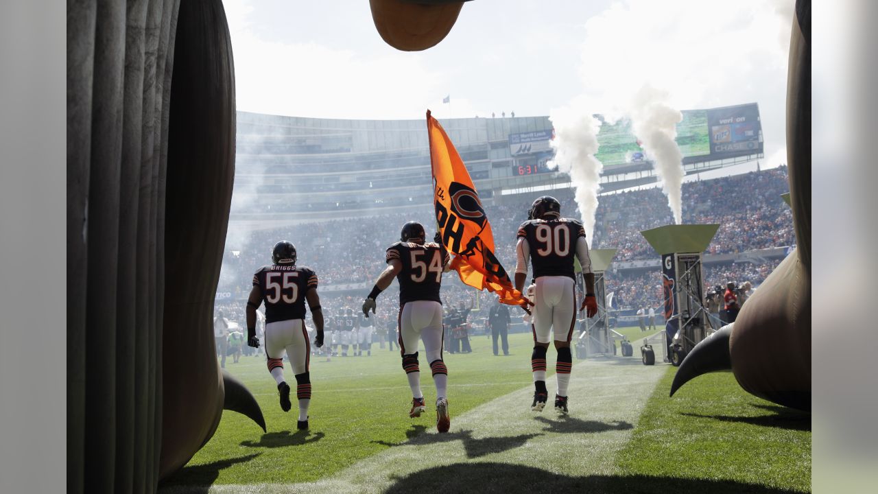 Chicago Bears linebacker Lance Briggs (55) celebrates as strong