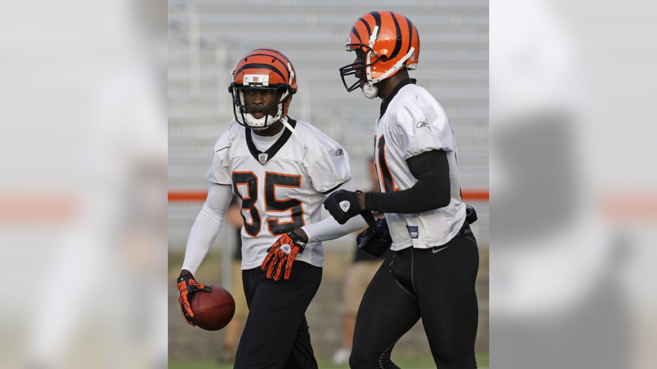 Cincinnati Bengals 2010 Training Camp: Five Topics (8/11)