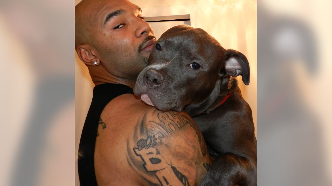 NFL Stars' Pets: A Complete Guide to the Athletes' Dogs