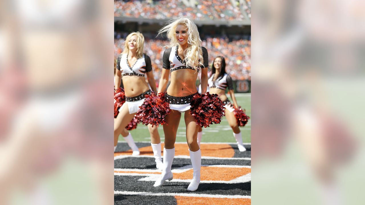 Best of Cincinnati Bengals Cheerleaders 2014