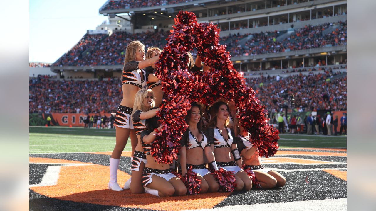 Cincinnati Bengals Logo through the years  Bengals cheerleaders, Bengals  football, Cincinnati bengals football