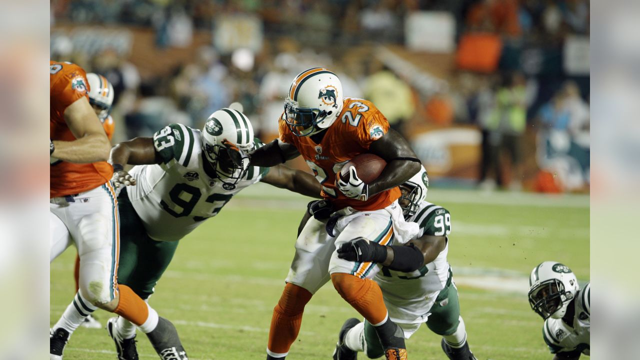 Miami Dolphins tight end Joey Haynos looks for a pass interference