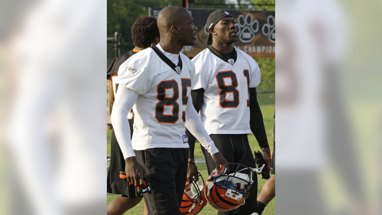 Cincinnati Bengals 2010 Training Camp: Five Topics (8/11)