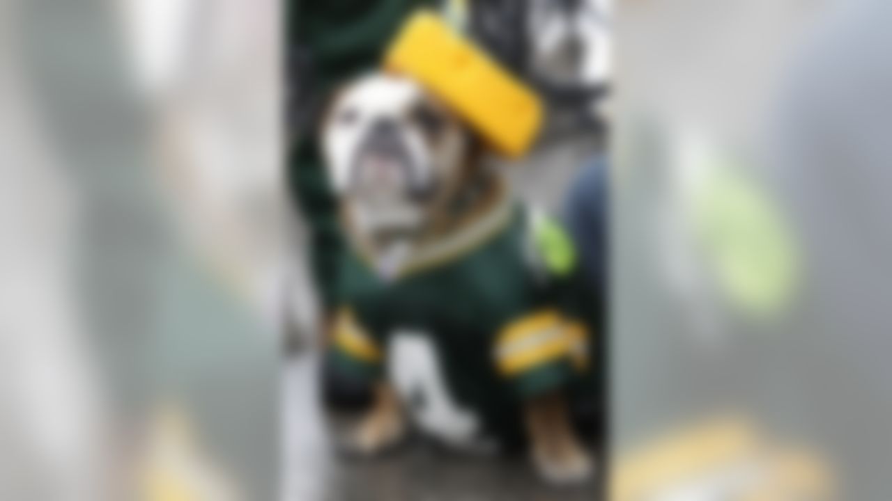 A dog named Packer, wearing a cheesehead and a Packers jersey, is seen outside Lambeau Field before an NFL football playoff game between the Green Bay Packers and the Seattle Seahawks on Saturday, Jan. 12, 2008, in Green Bay, Wis. (AP Photo/Mike Roemer)