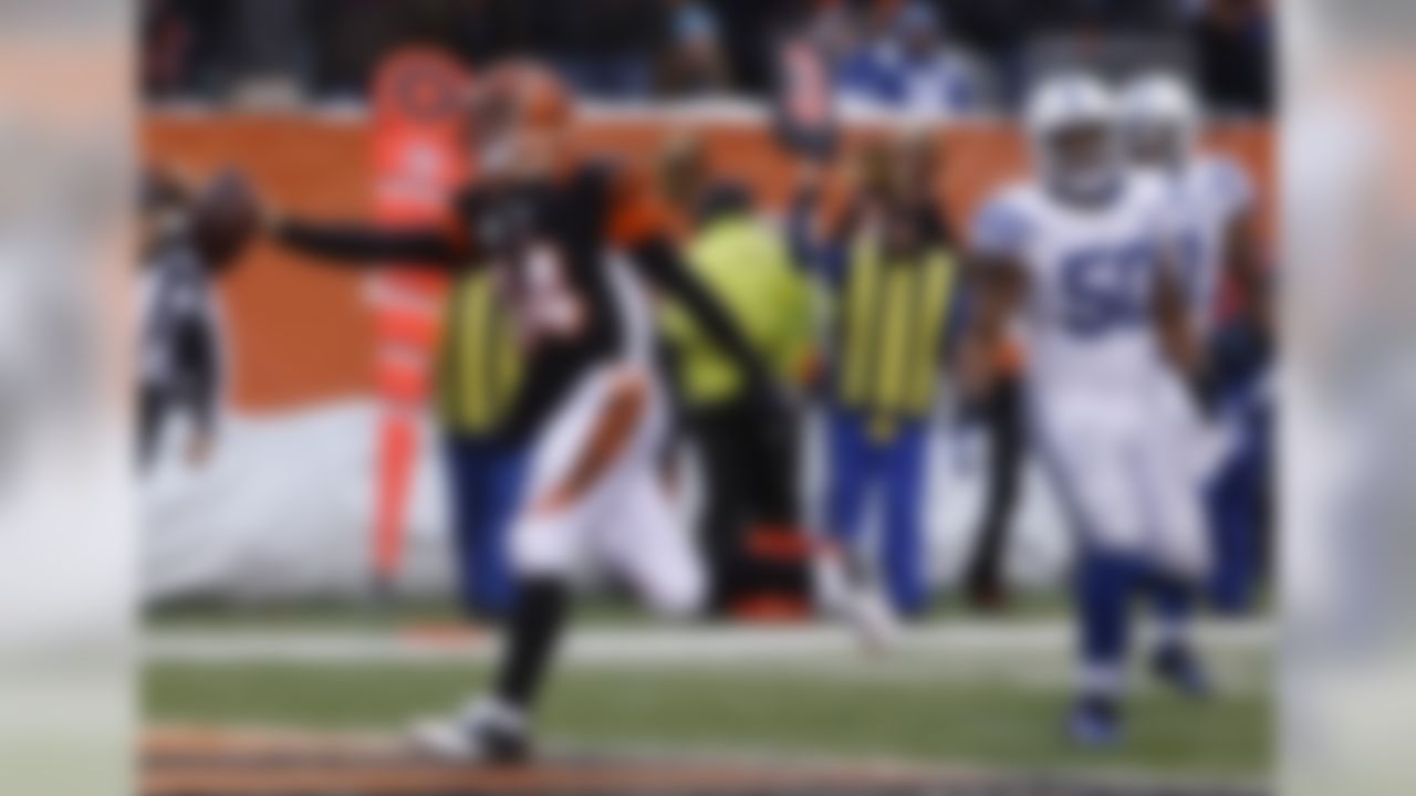 Cincinnati Bengals quarterback Andy Dalton (14) scores past Indianapolis Colts inside linebacker Jerrell Freeman (50) on an 8-yard run in the second half of an NFL football game, Sunday, Dec. 8, 2013, in Cincinnati. (AP Photo/David Kohl)